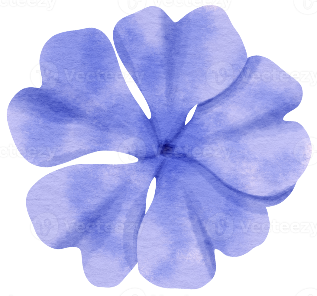 Blue flower watercolor painted for Decorative Element png