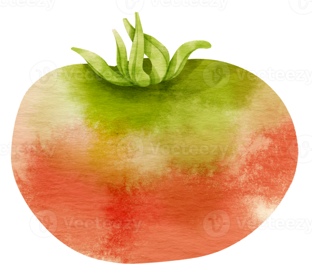 style aquarelle de tomate pour élément décoratif de thanksgiving png
