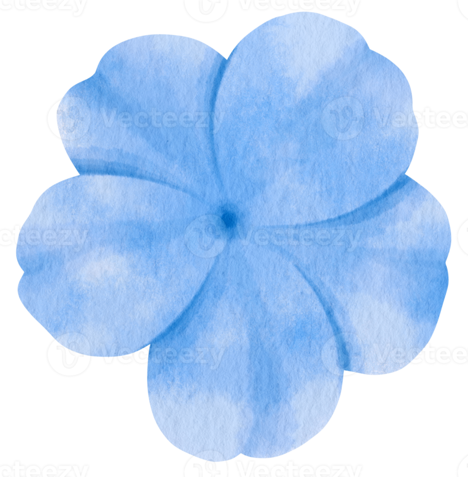 acuarela de flor azul pintada para elemento decorativo png