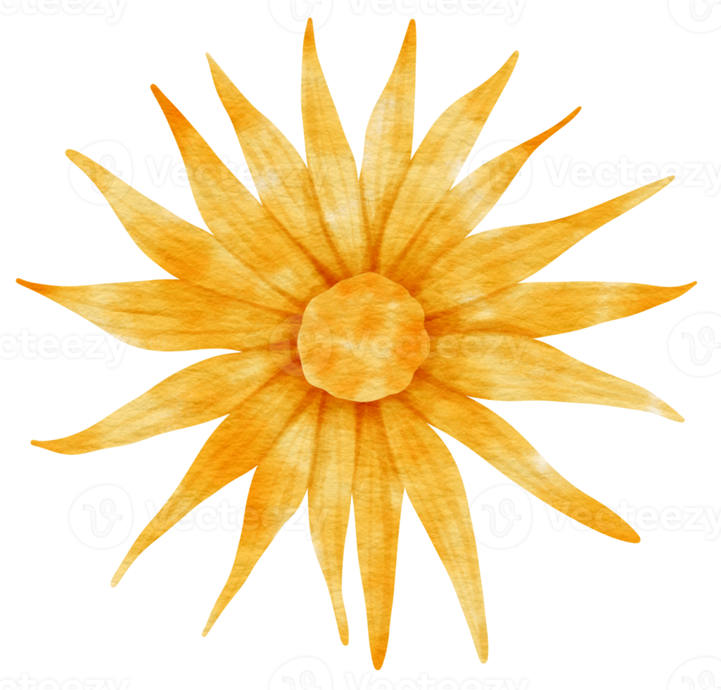 Yellow flower watercolor painted for Decorative Element png