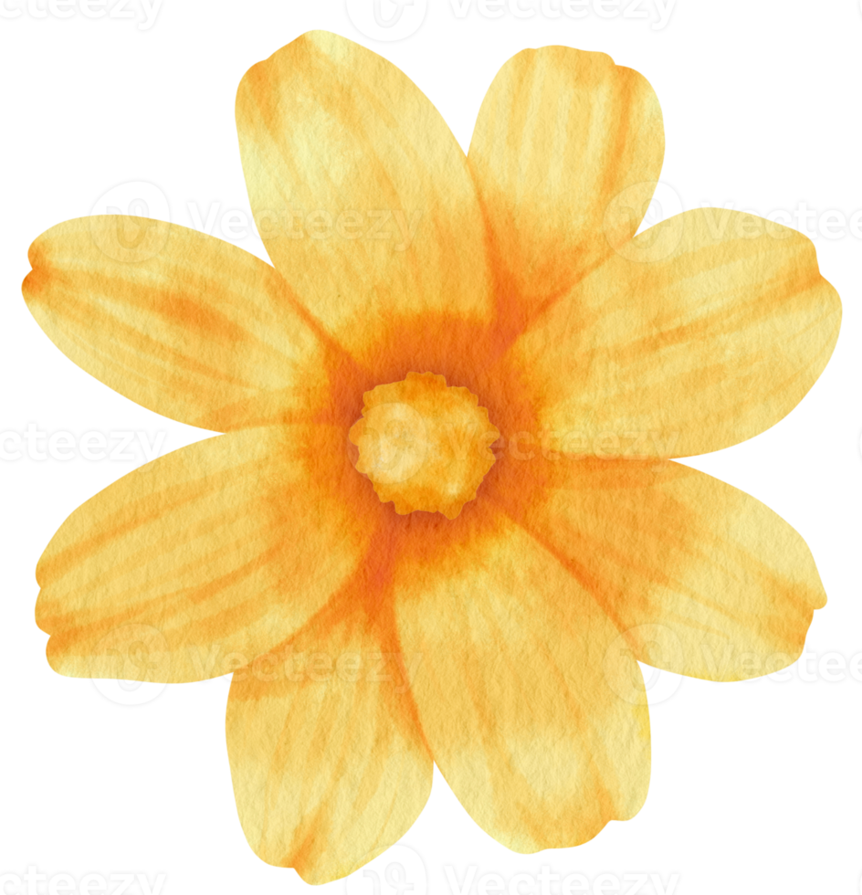 Yellow flower watercolor painted for Decorative Element png