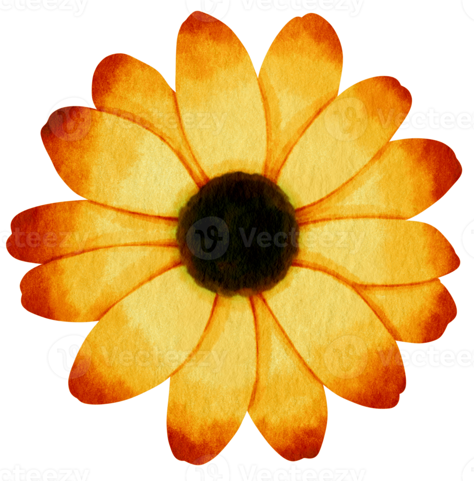 Yellow flower watercolor painted for Decorative Element png