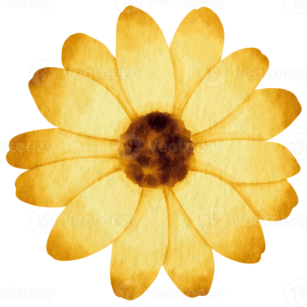 aquarelle fleur jaune peinte pour élément décoratif png