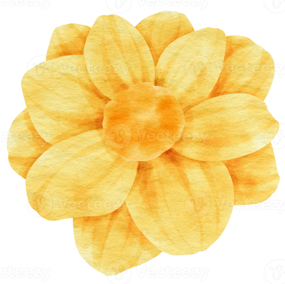 Yellow flower watercolor painted for Decorative Element png