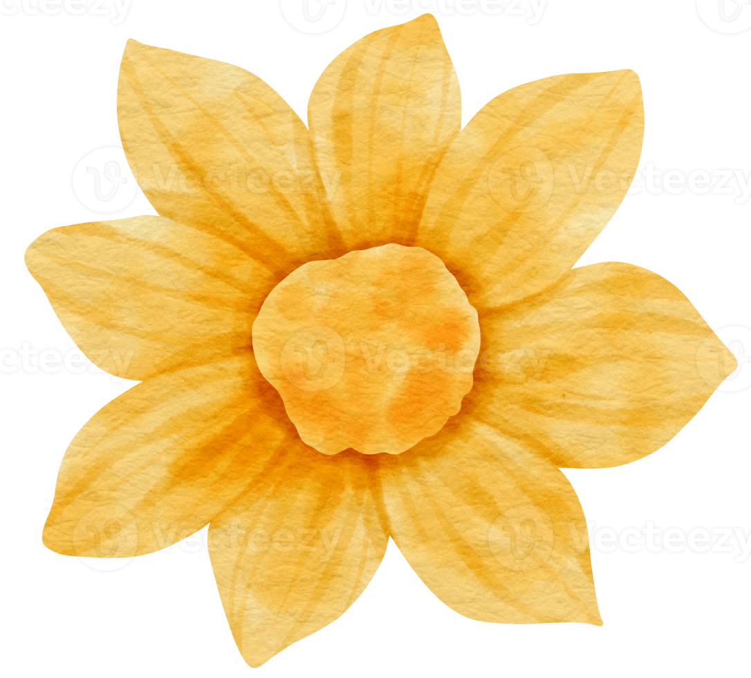 Yellow flower watercolor painted for Decorative Element png