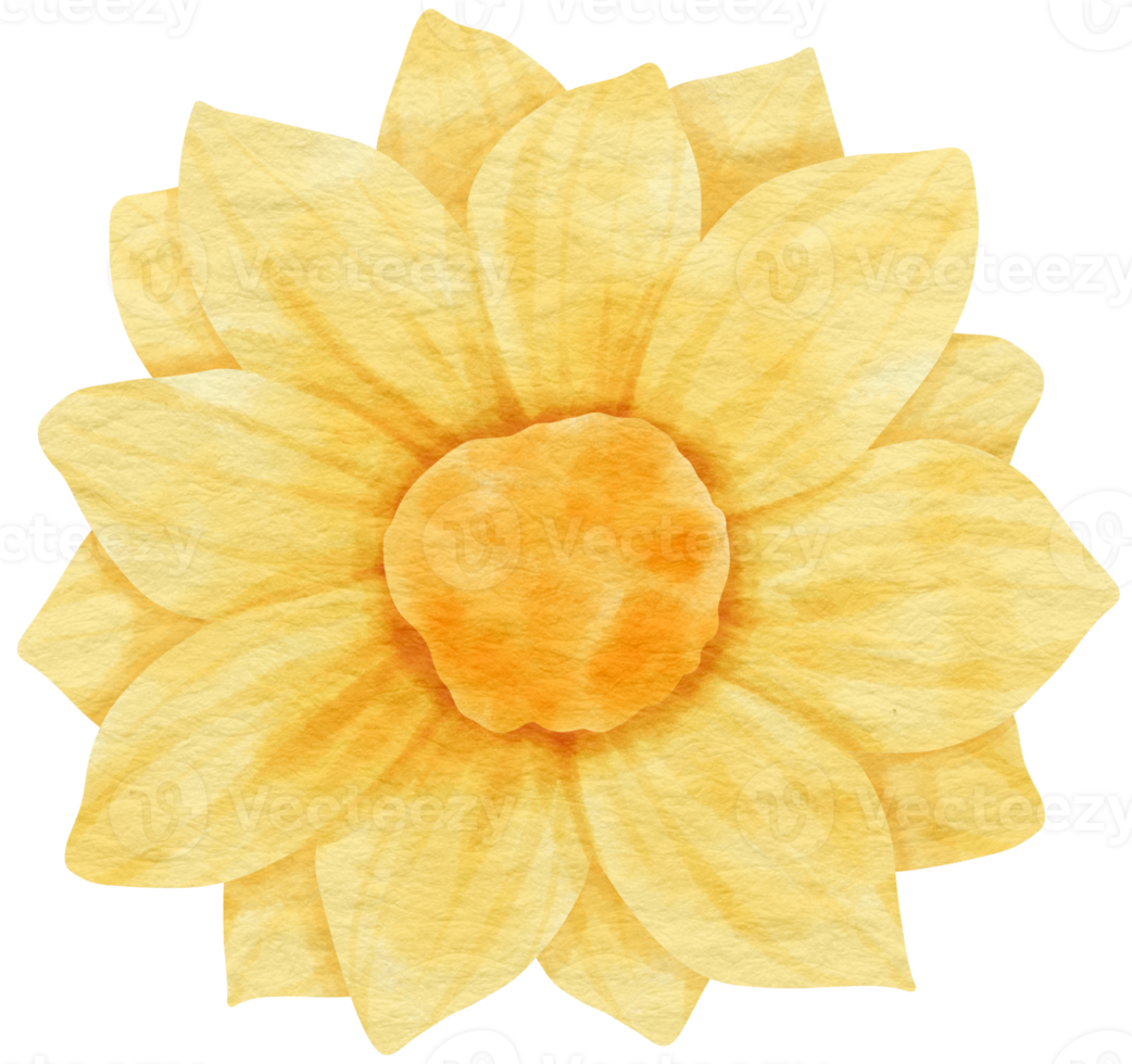 Yellow flower watercolor painted for Decorative Element png