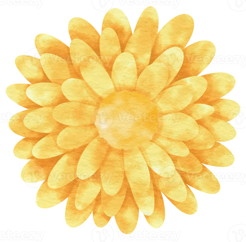 Yellow flower watercolor painted for Decorative Element png