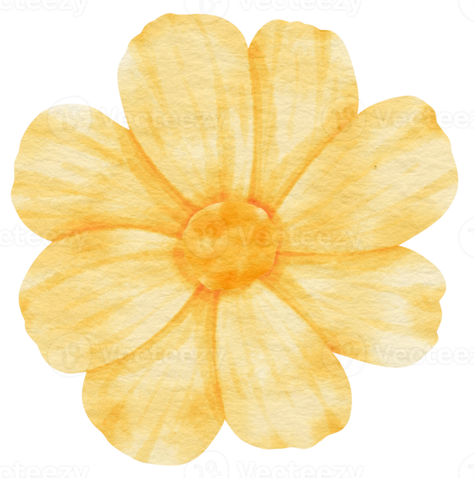 Yellow flower watercolor painted for Decorative Element png