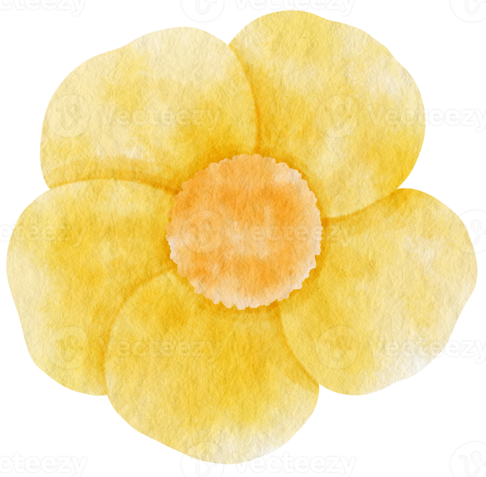 Yellow flower watercolor painted for Decorative Element png