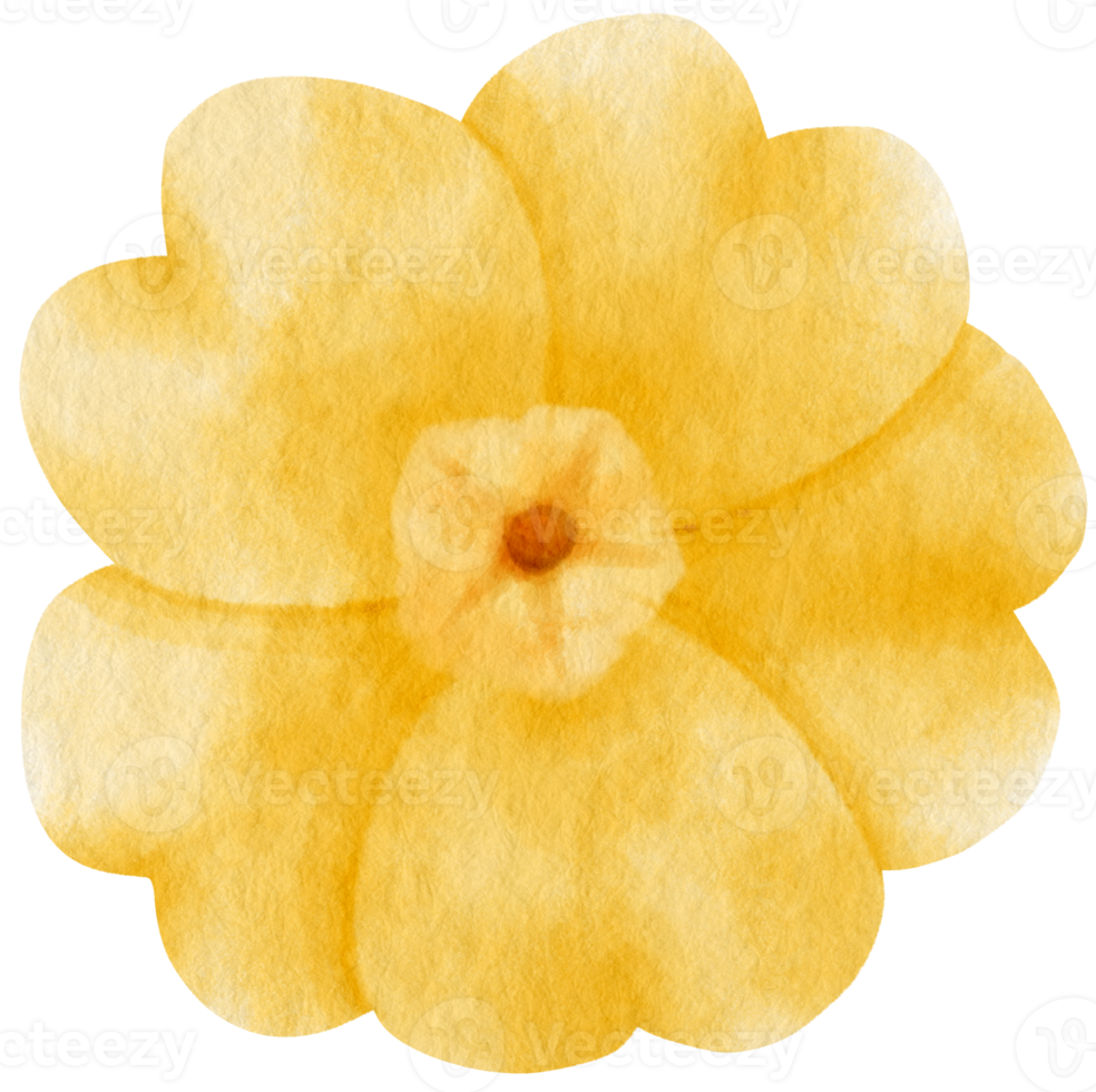 aquarelle fleur jaune peinte pour élément décoratif png