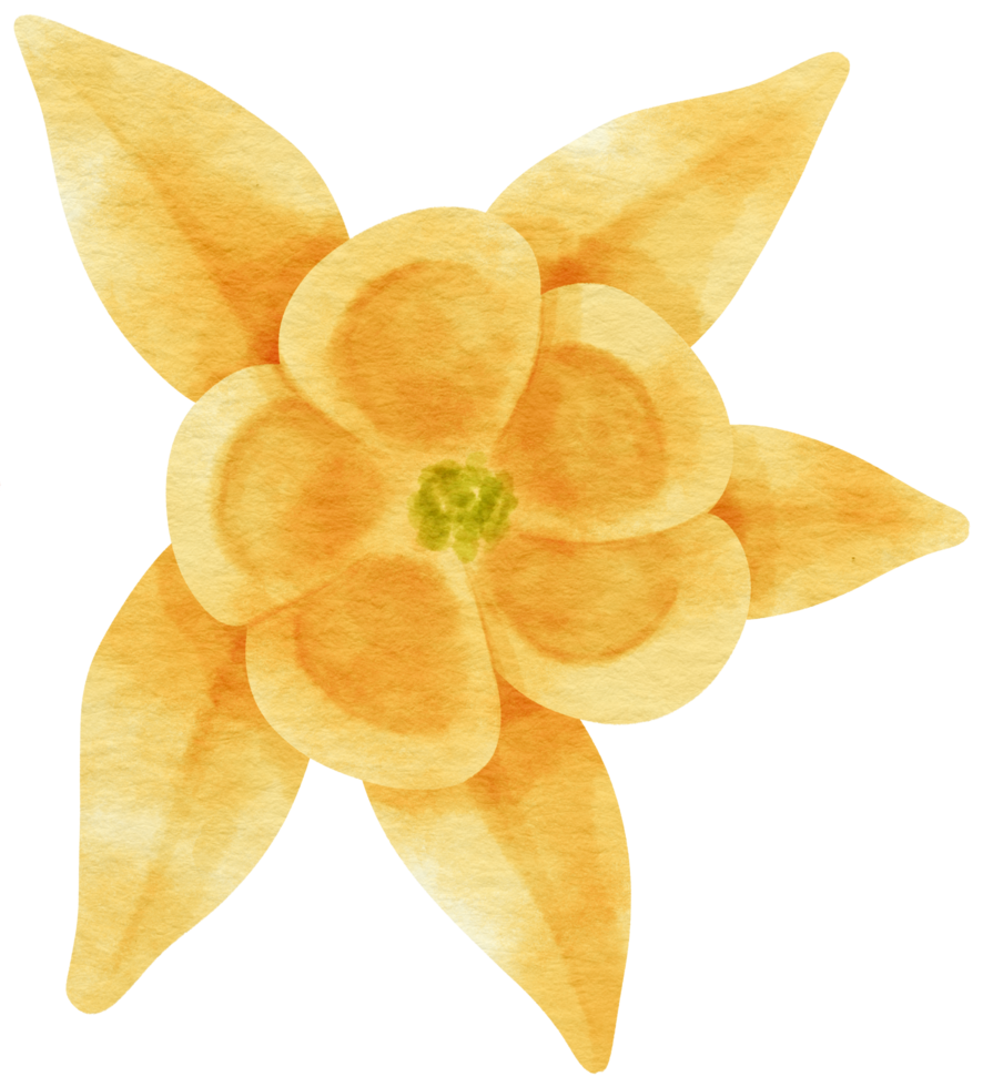 acuarela de flor amarilla pintada para elemento decorativo png