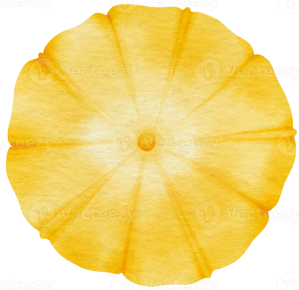 Yellow flower watercolor painted for Decorative Element png