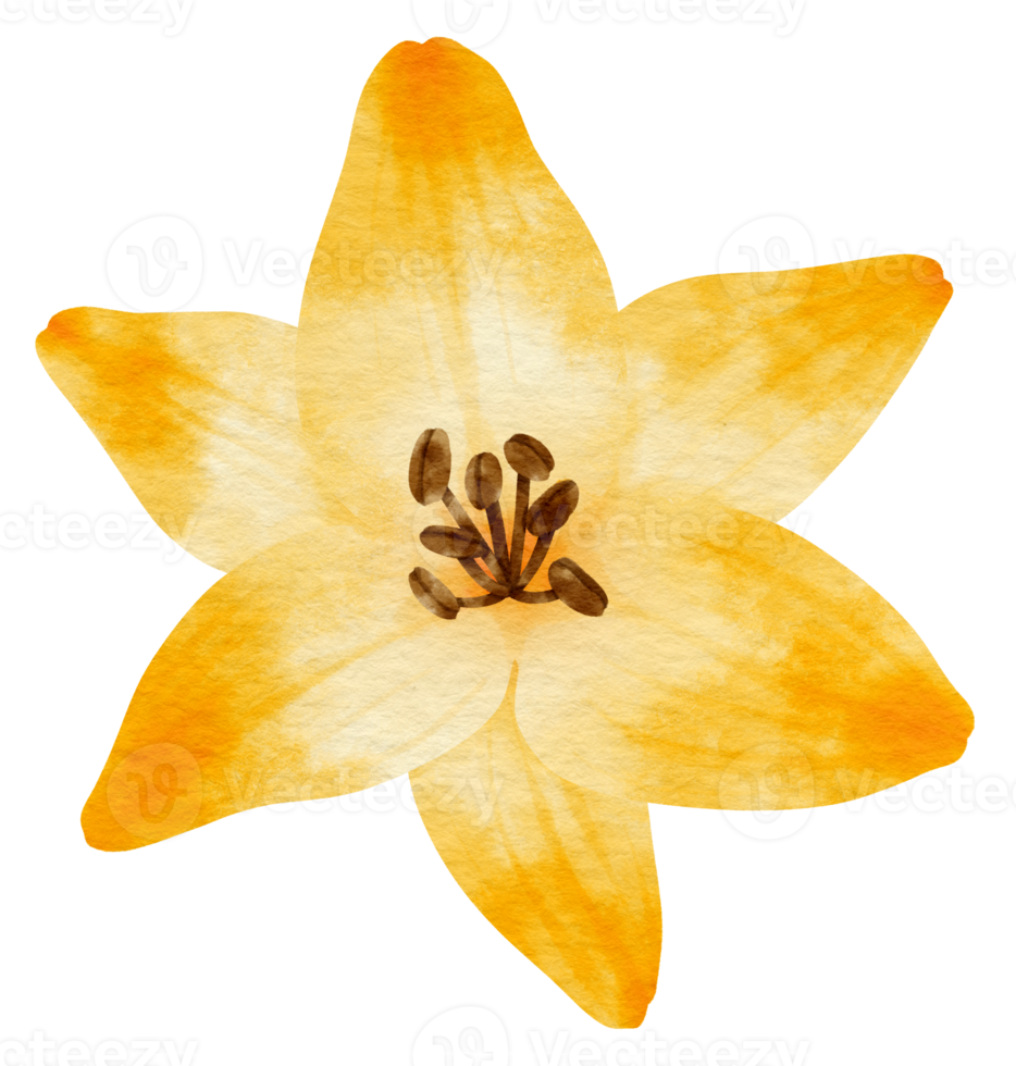 gele lelie bloem aquarel geschilderd voor decoratief element png