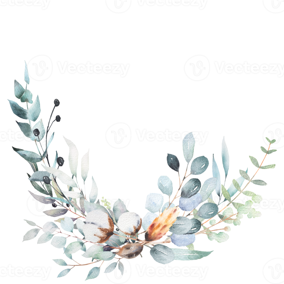 Watercolor elements bouquet of leaves and cotton flowers png