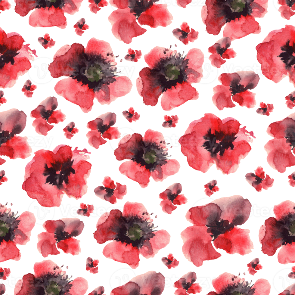 Poppy flowers watercolor drawing seamless pattern isolated petals buds.Illustration hand drawn art png