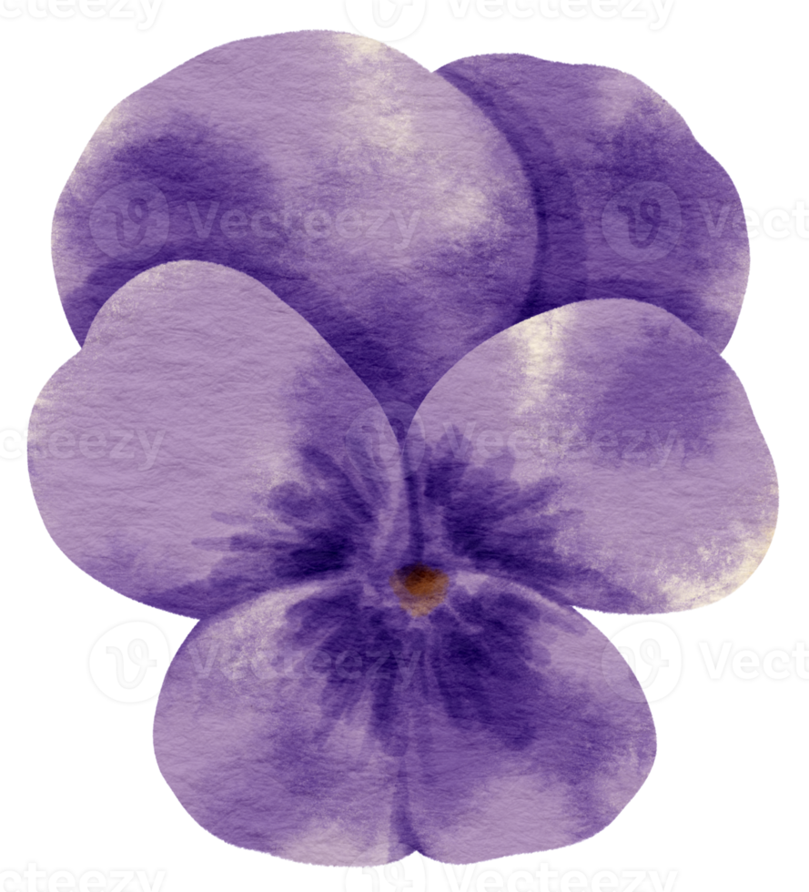 estilo de acuarela de flor de pensamiento púrpura para elemento decorativo png