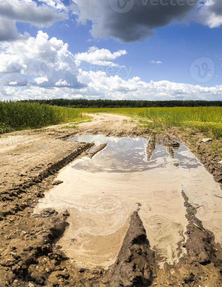 deep ruts on the sandy road photo