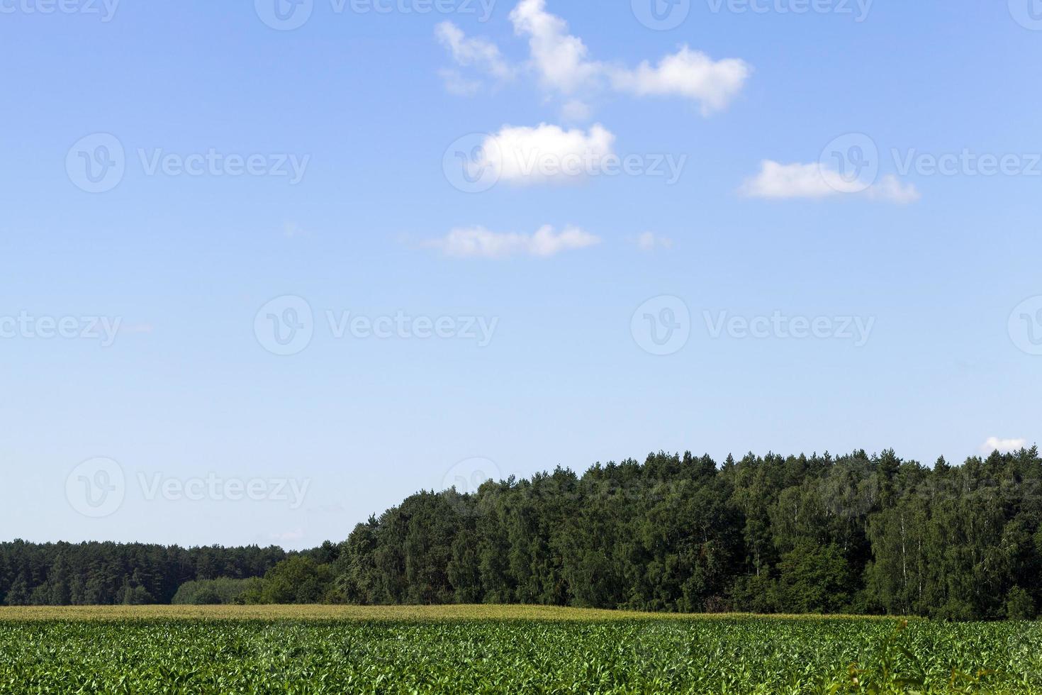 landscape with sky photo