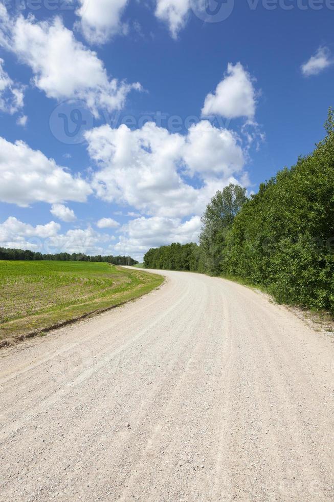 roads of sand photo