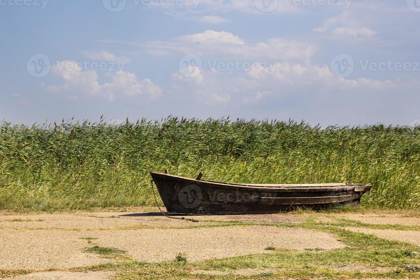 Old fishing boat on asphalt on the background of reeds photo