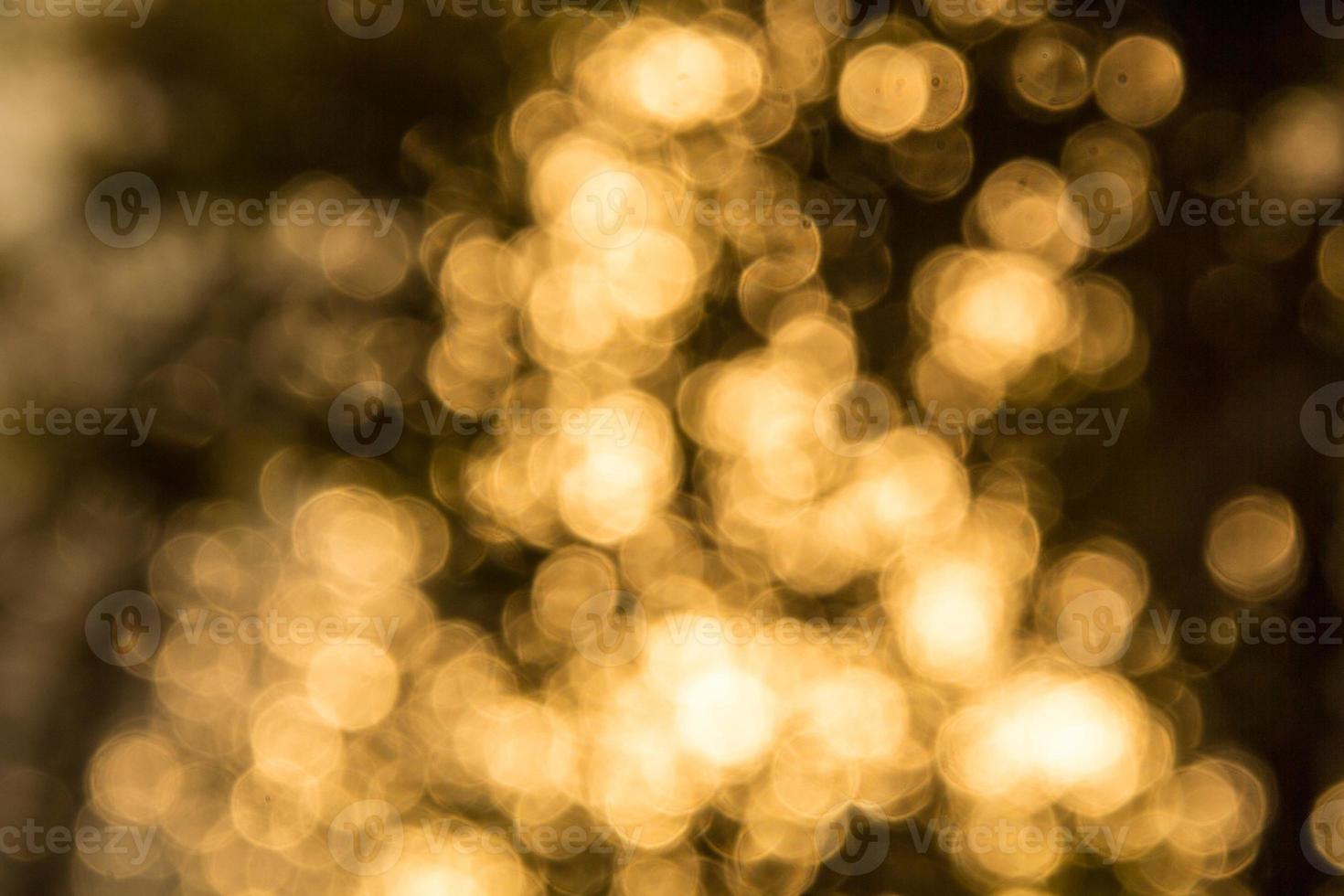 Sunny bokeh of light through the branches of trees photo