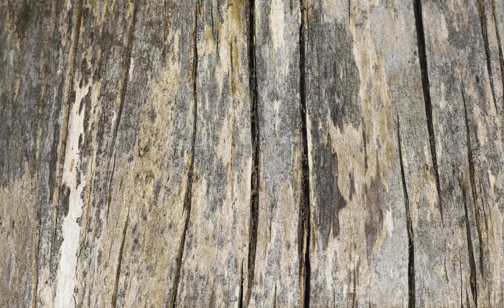 superficie de madera abstracta foto
