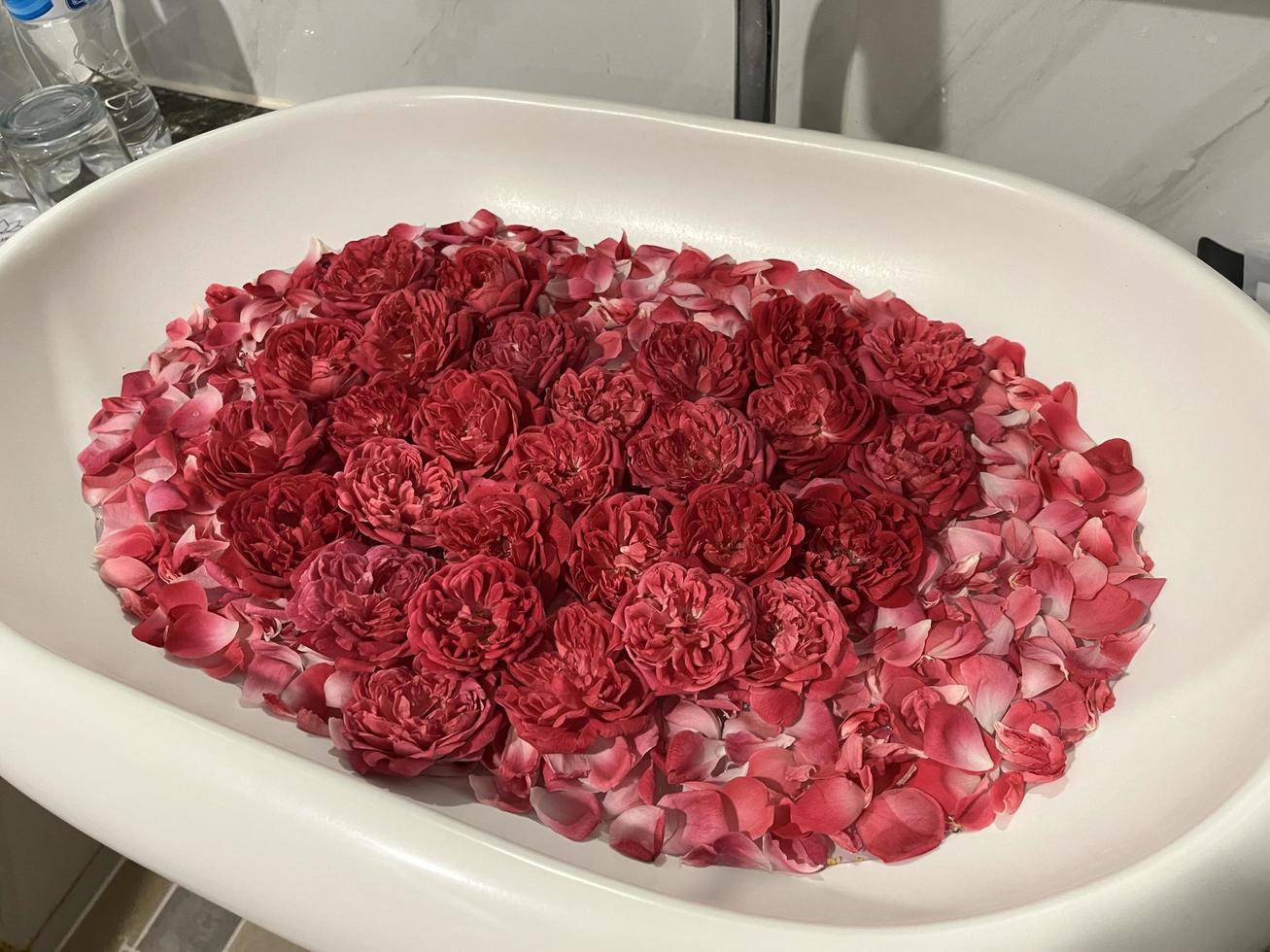 Rose decoration for rooms with a romantic concept. The seductive scent of roses. Roses are neatly arranged and decorated to form a heart. Hotel rooms are prepared for couples going on their honeymoon. photo