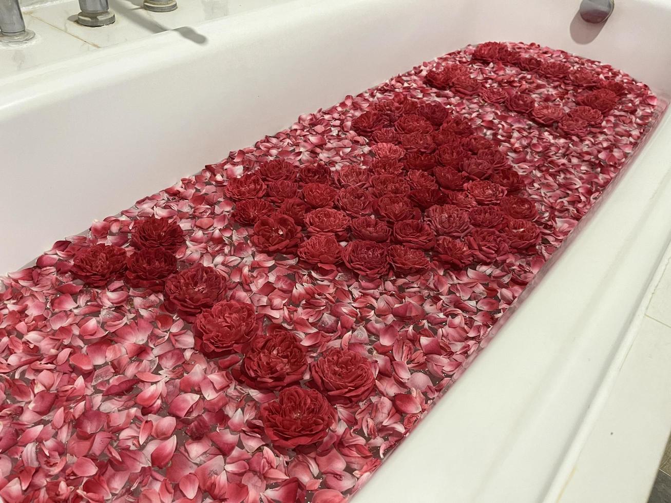 Rose decoration for rooms with a romantic concept. The seductive scent of roses. Roses are neatly arranged and decorated to form a heart. Hotel rooms are prepared for couples going on their honeymoon. photo