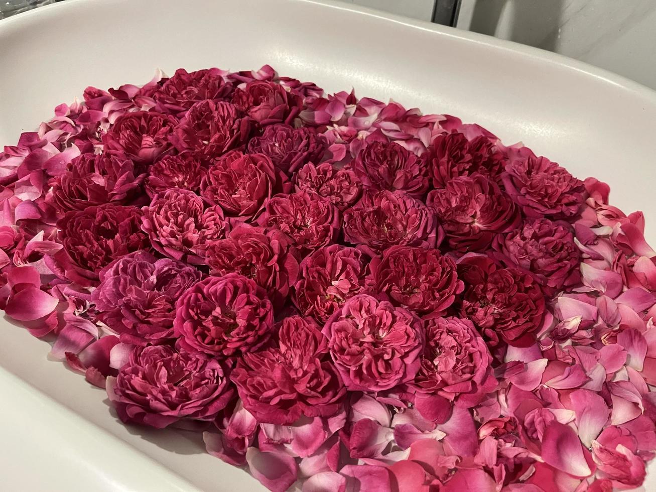 Rose decoration for rooms with a romantic concept. The seductive scent of roses. Roses are neatly arranged and decorated to form a heart. Hotel rooms are prepared for couples going on their honeymoon. photo