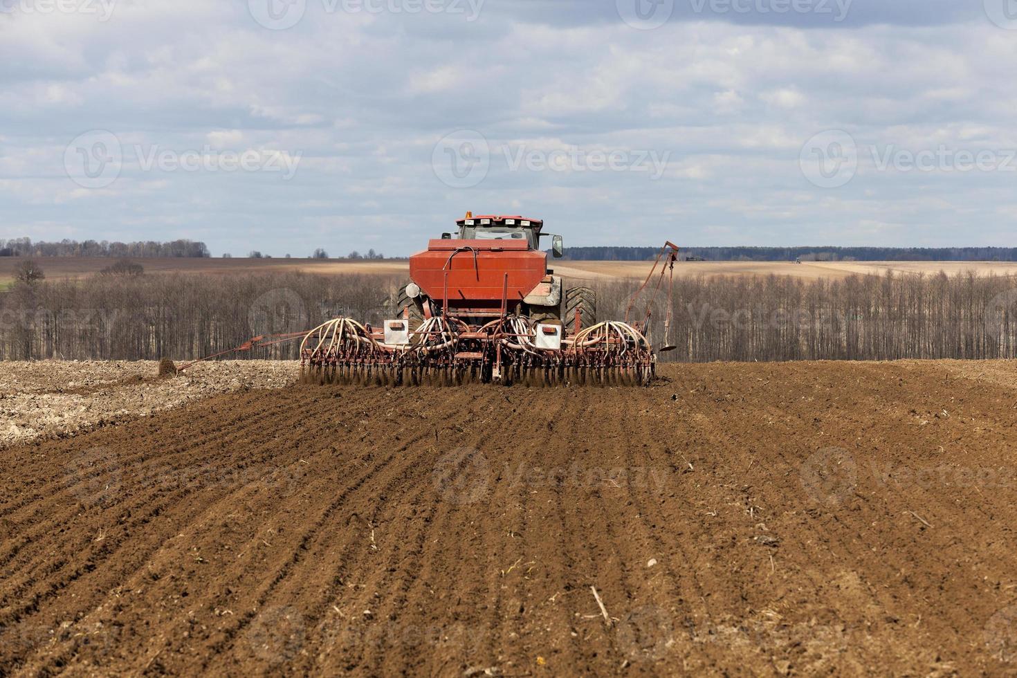 sowing of cereals. Spring photo