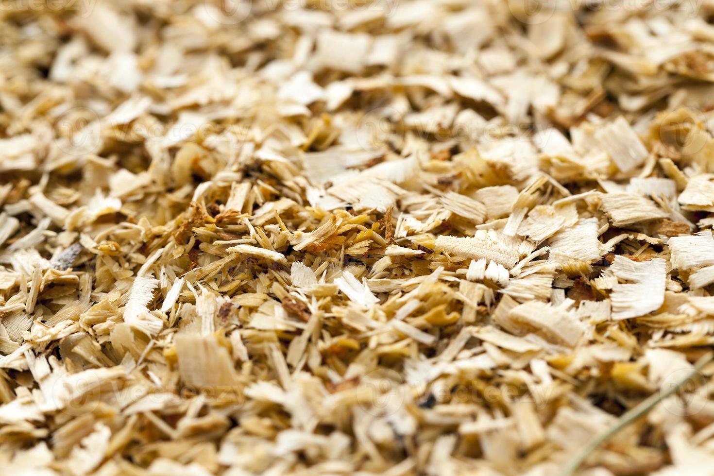 wood shavings. close-up photo