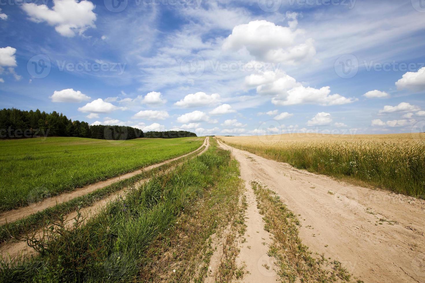 Spring road , countryside, photo
