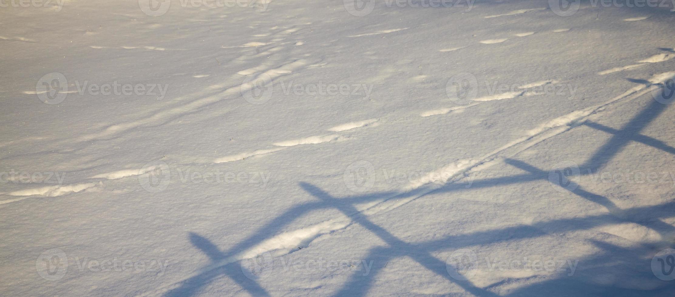 old stairs, close up photo