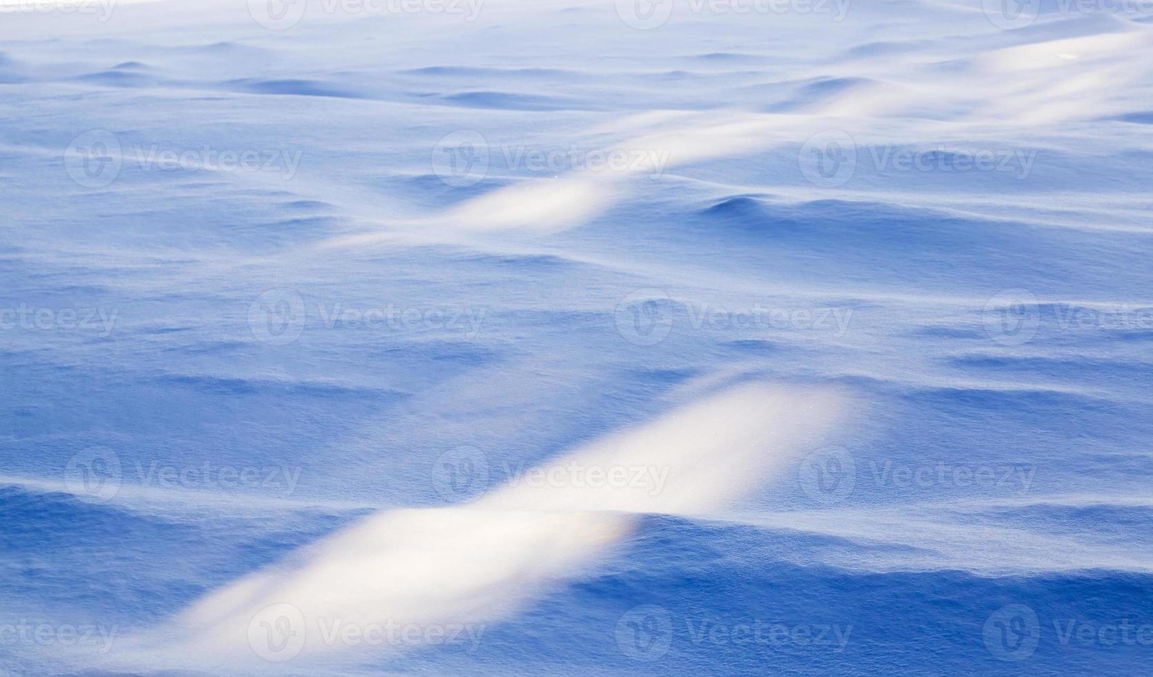 shadows from trees photo