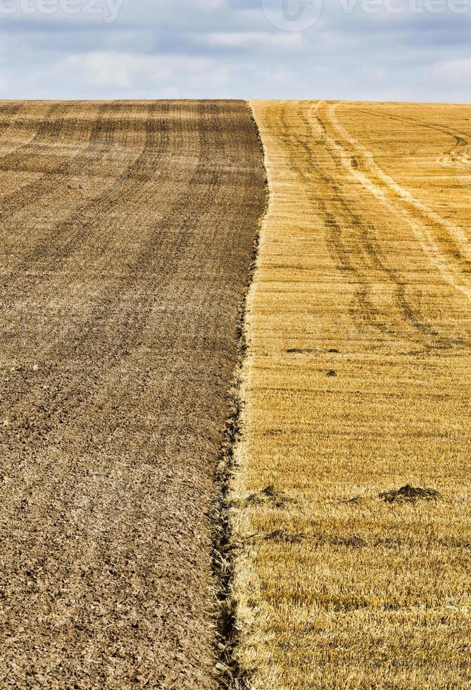 half of the plowed field photo