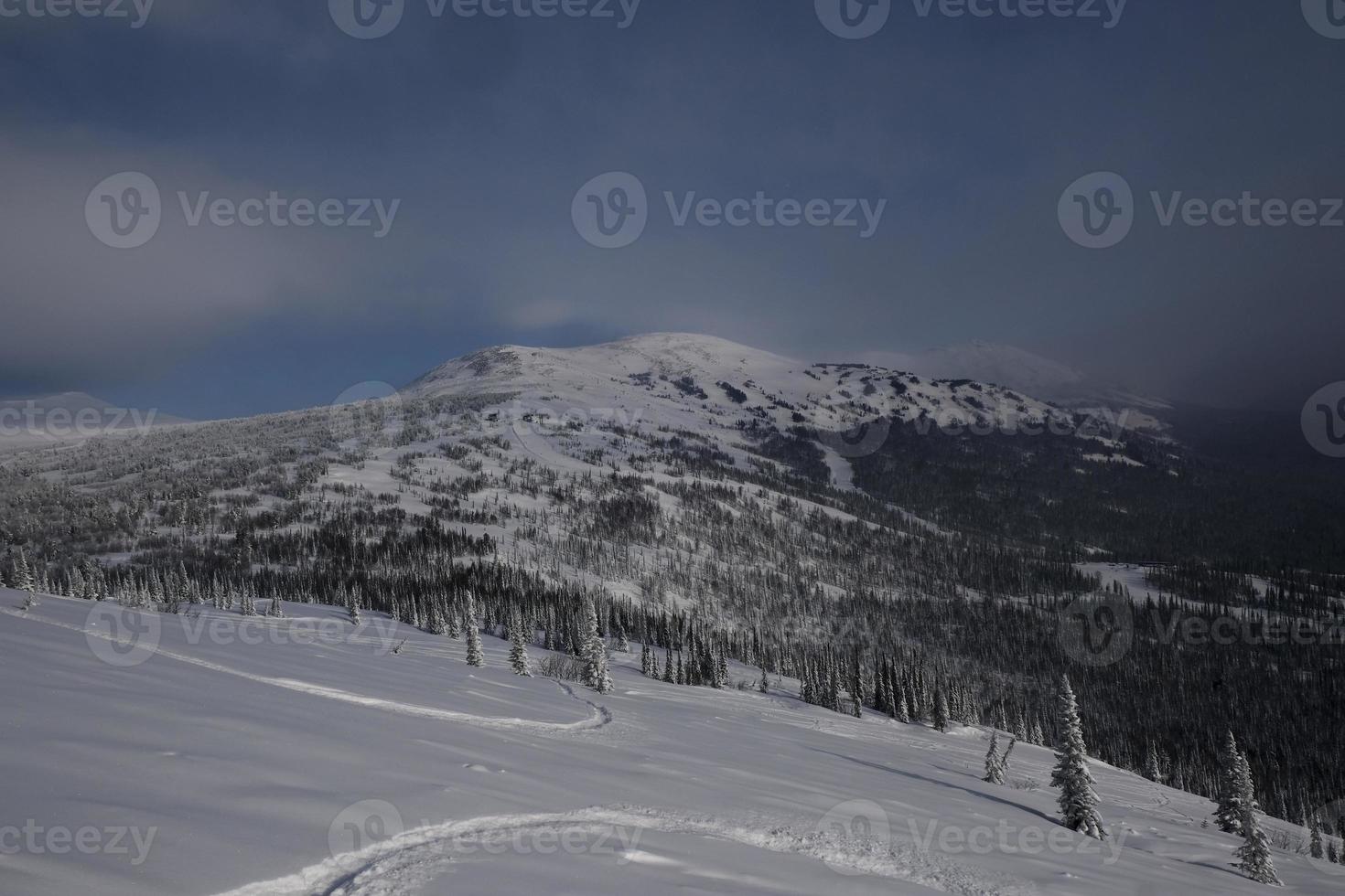 sunny winter morning in the mountains of sheregesh on the ski track photo