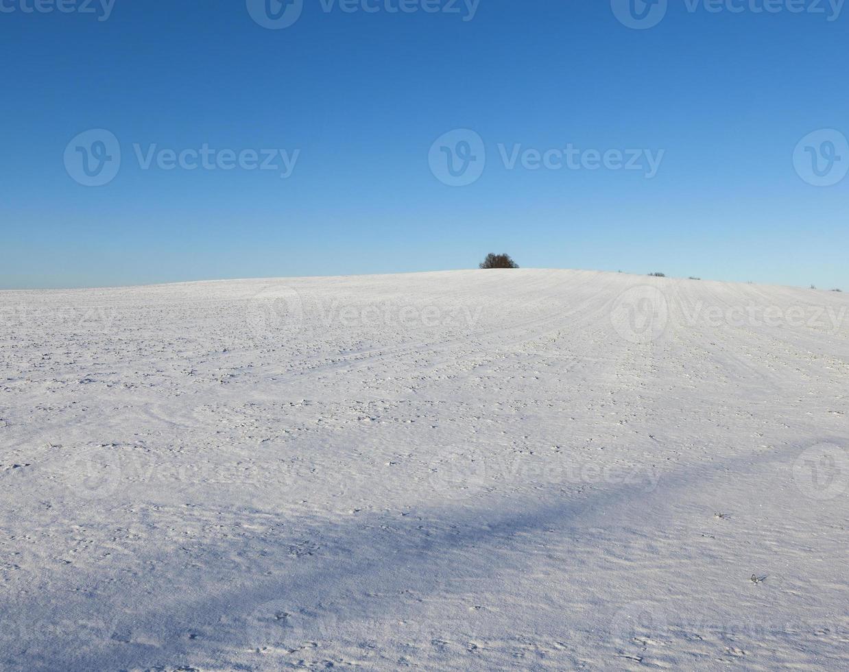 Snow drifts , field photo