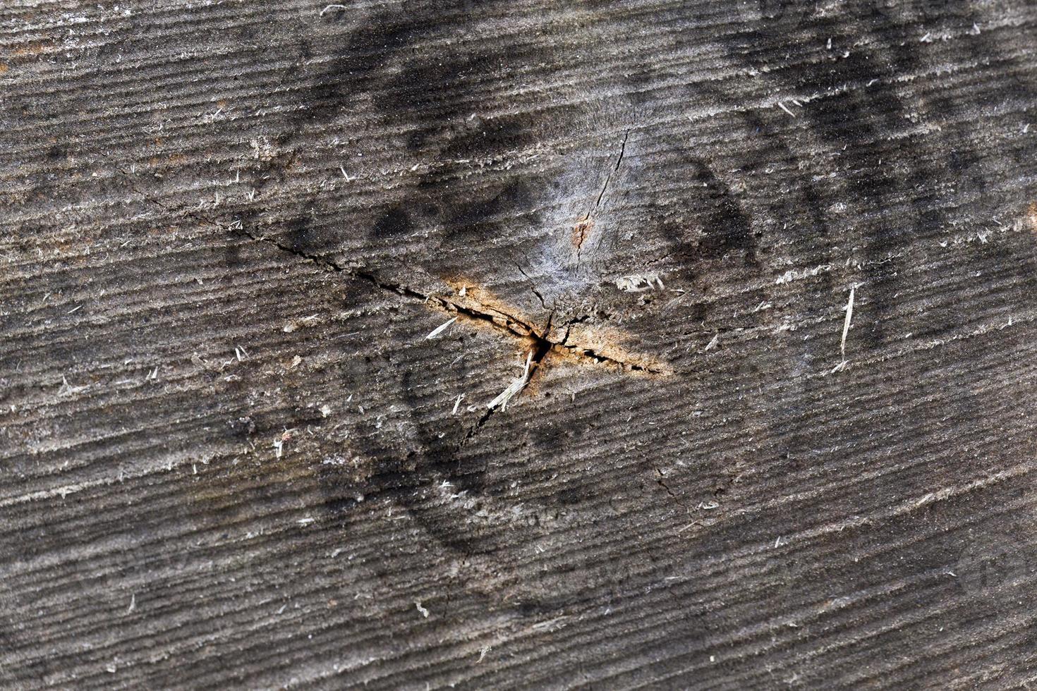 Old logs, close up photo