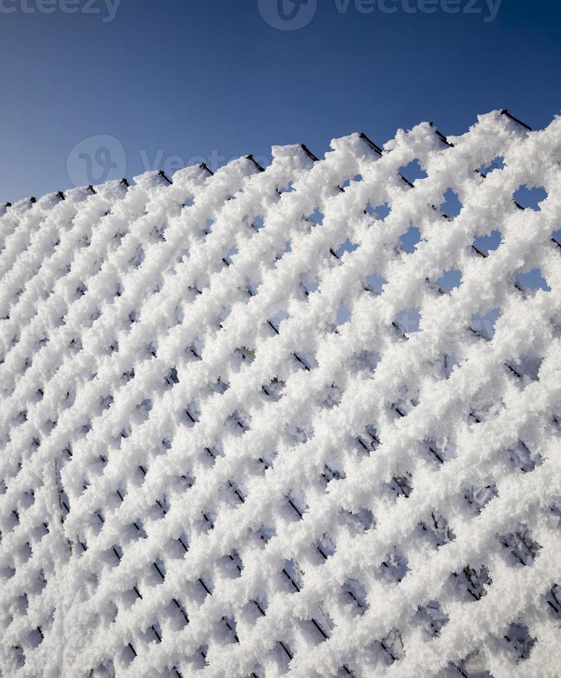 mesh netting and frost photo