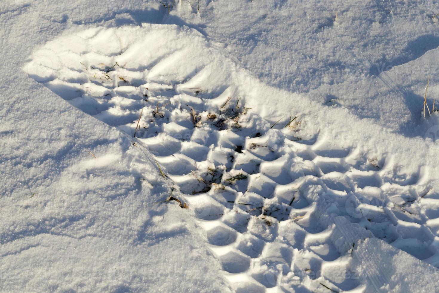 Road in winter photo