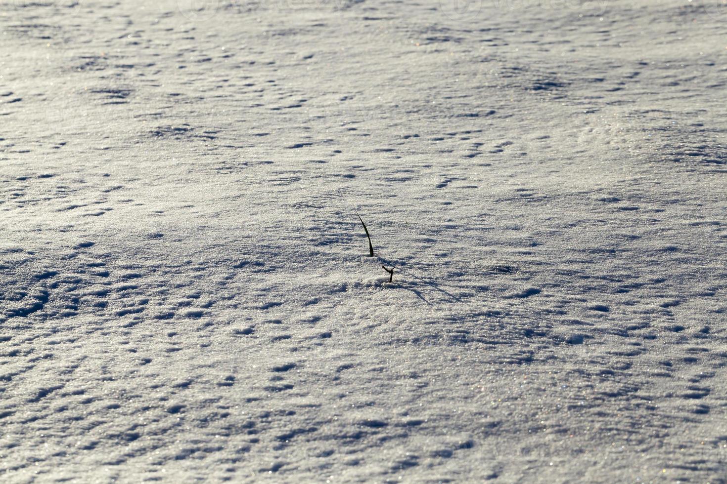 Snow drifts, close up photo