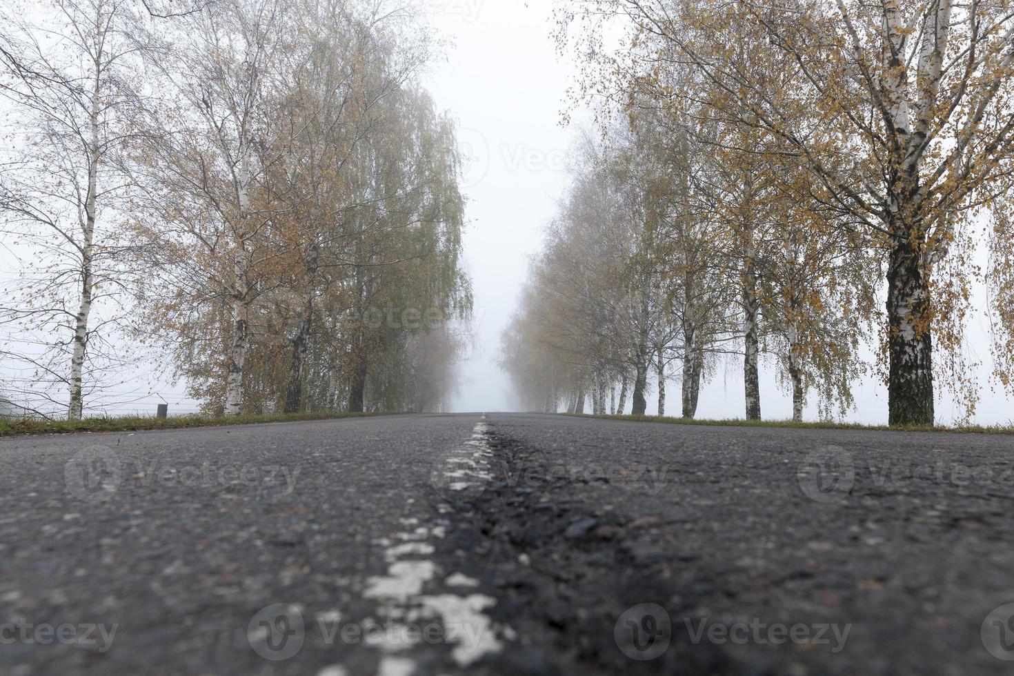 Asphalt road into the fog photo