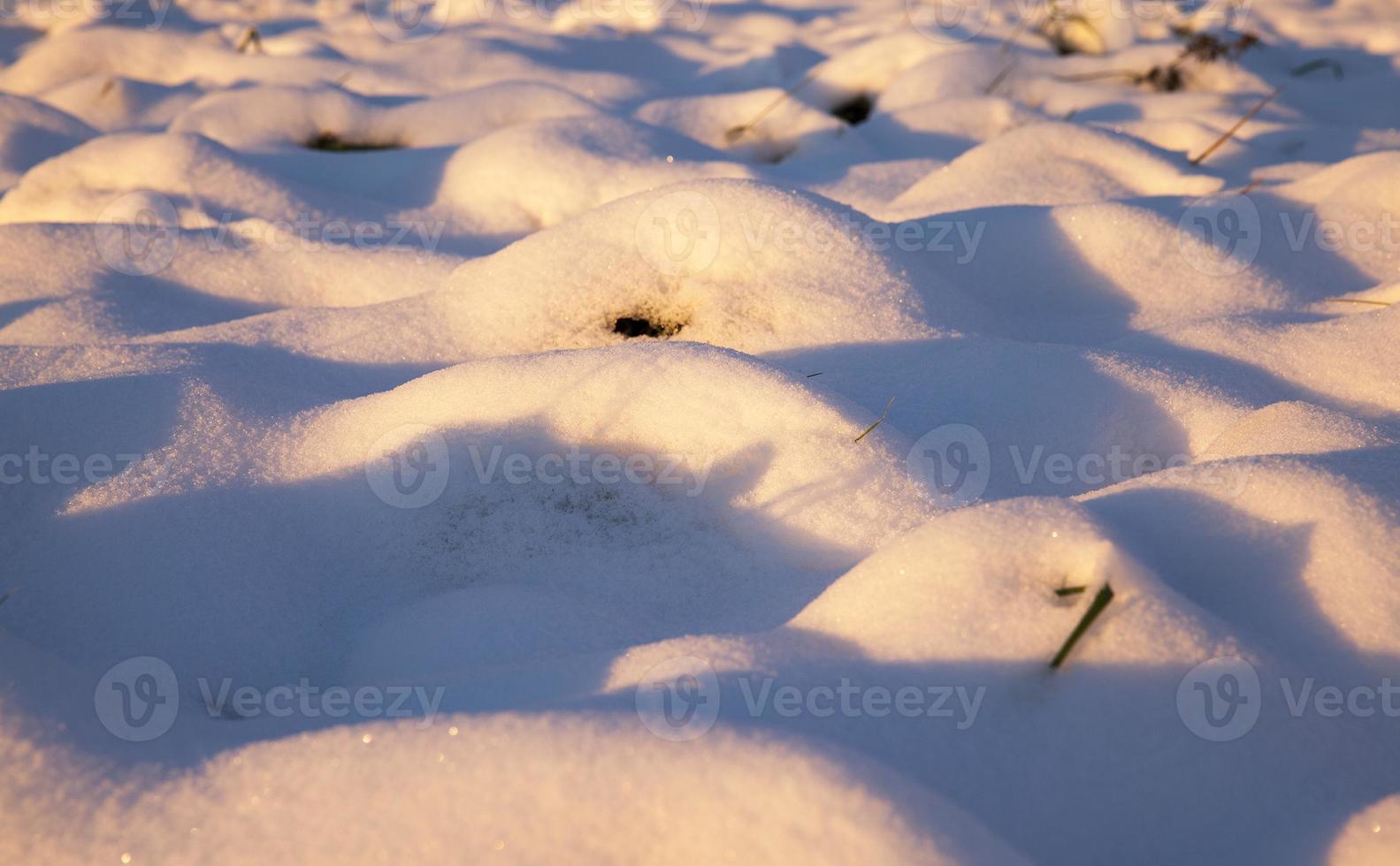 Snow drifts, in winter photo