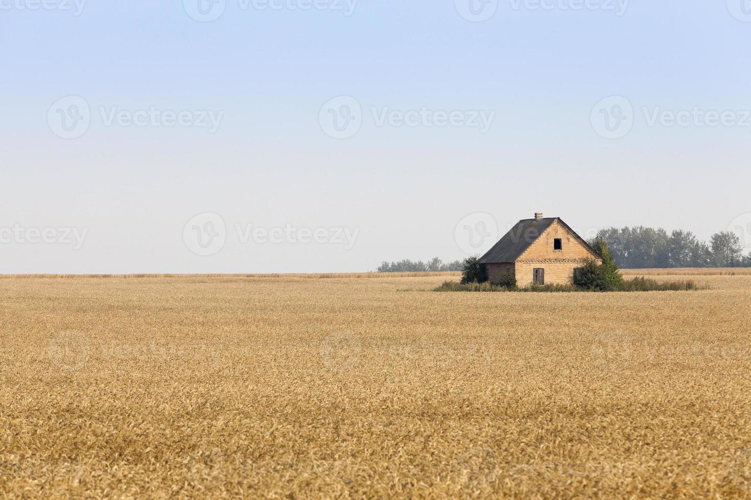 The house is in the field photo