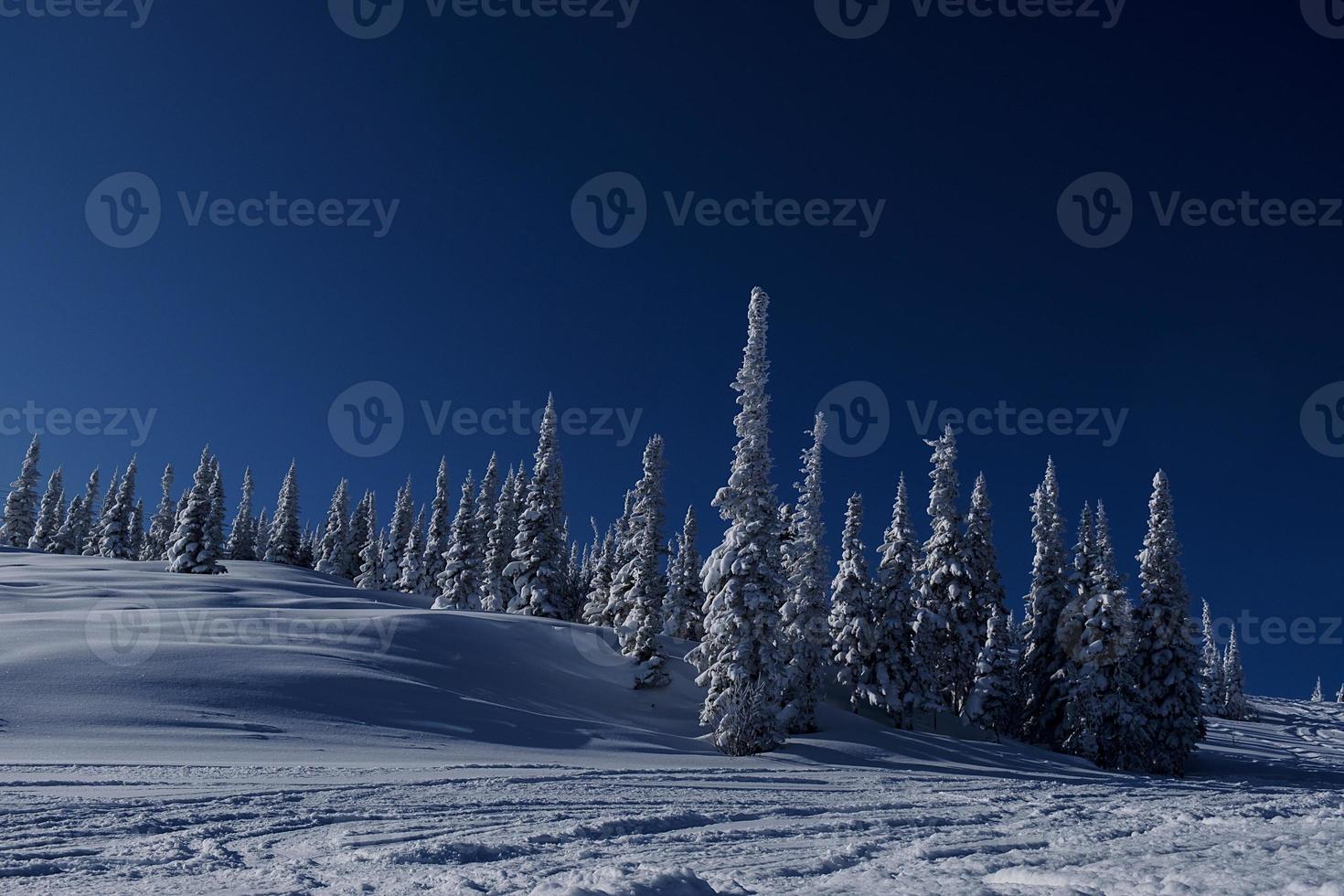sunny winter morning in the mountains of sheregesh on the ski track photo