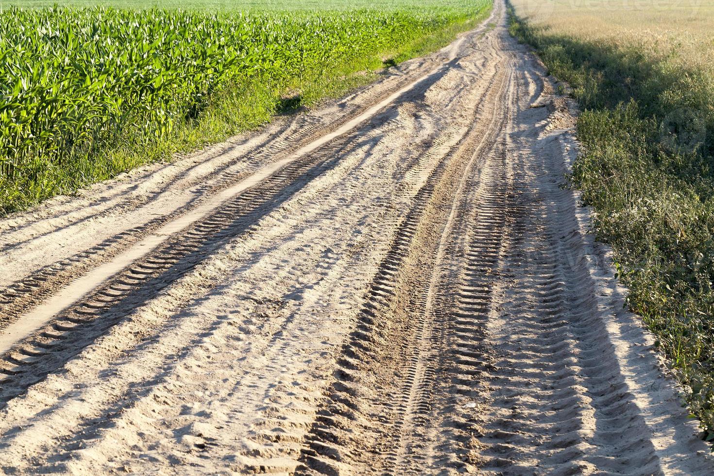rural roads Photo