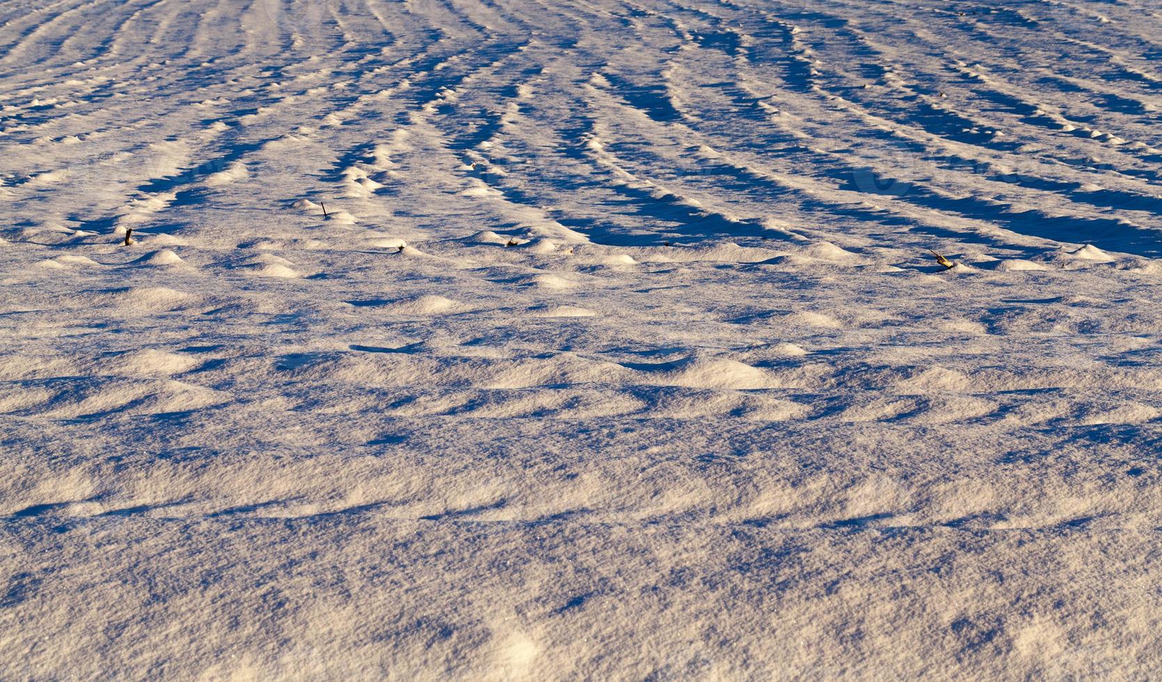 Photo snow, close up