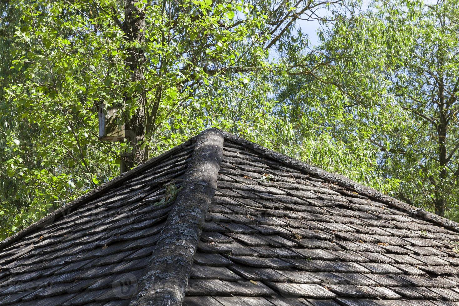 old wooden roof photo