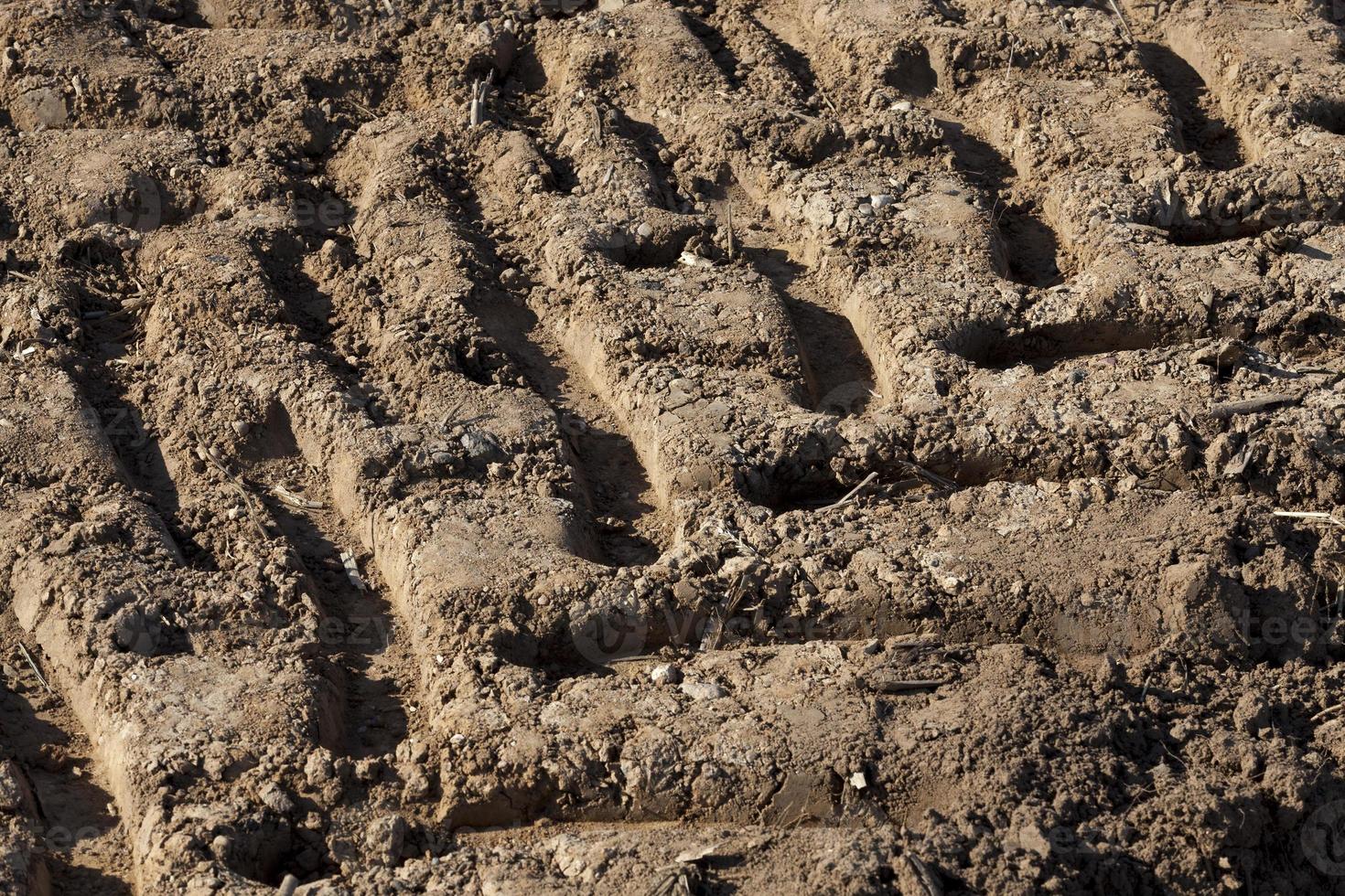 wavy tractor traces photo