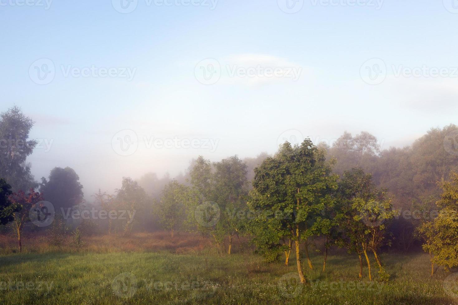 landscape with misty photo